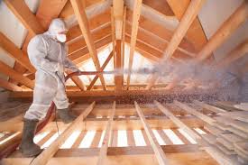 Best Eco-Friendly or Green Insulation Solutions  in La Paloma, TX